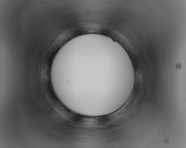 X0000101390170200807280946