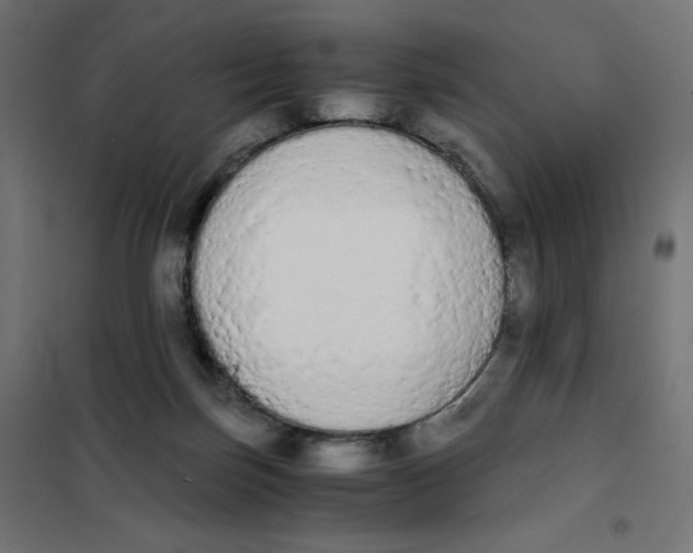X0000101390171200807280946