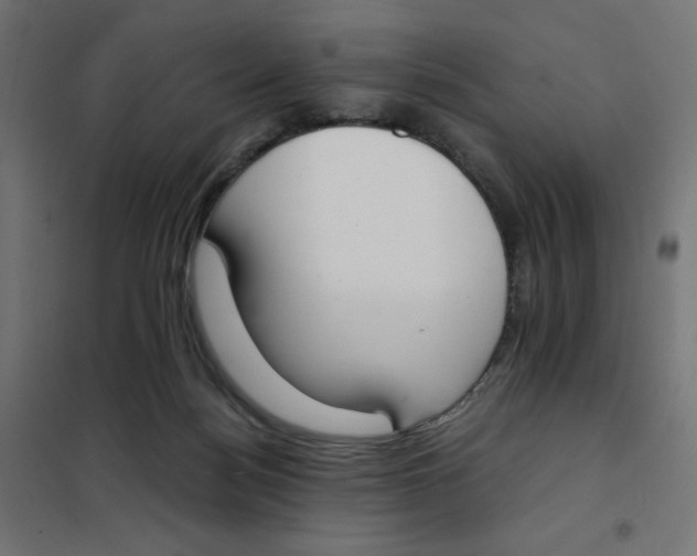 X0000101390172200807280946