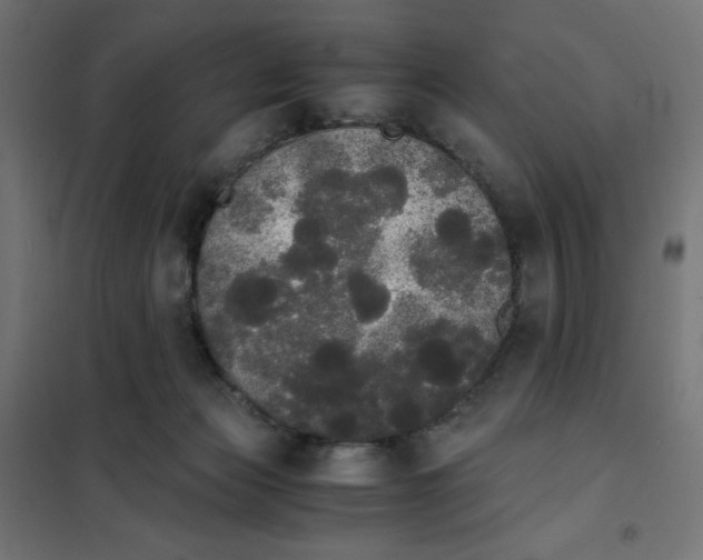 X0000101390173200807280946