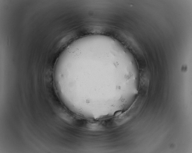 X0000101390175200807280946