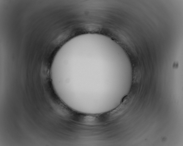 X0000101390176200807280946