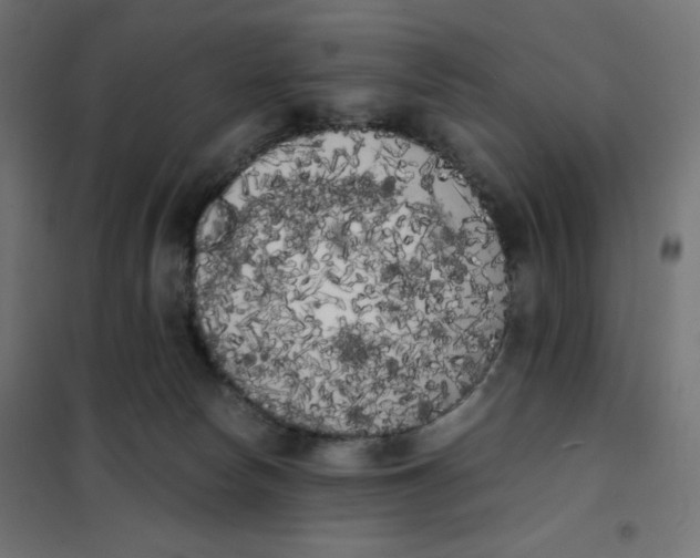 X0000101390178200807280946