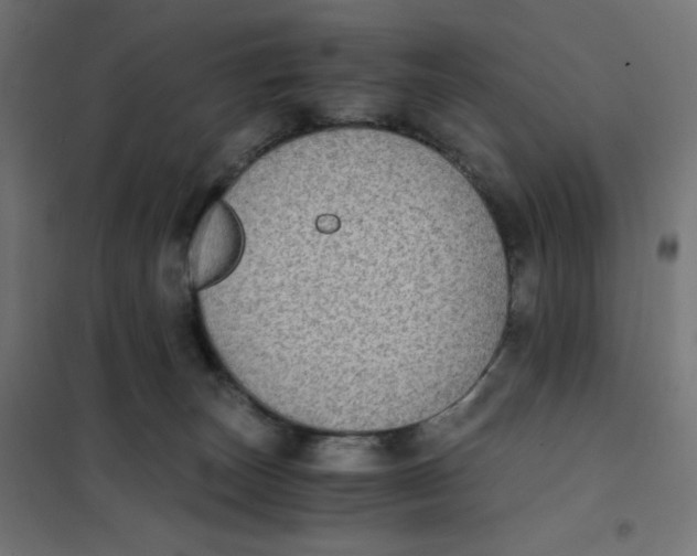 X0000101390179200807280946