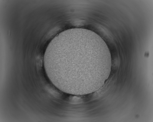 X0000101390180200807280946