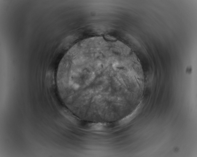 X0000101390182200807280946