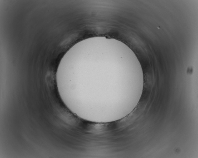 X0000101390184200807280946