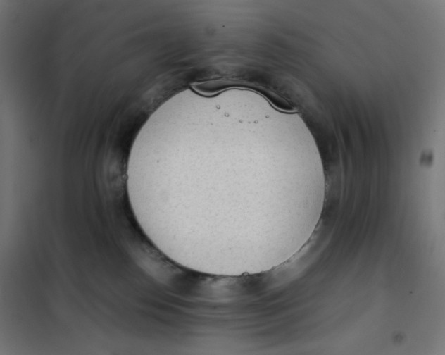X0000101390186200807280946