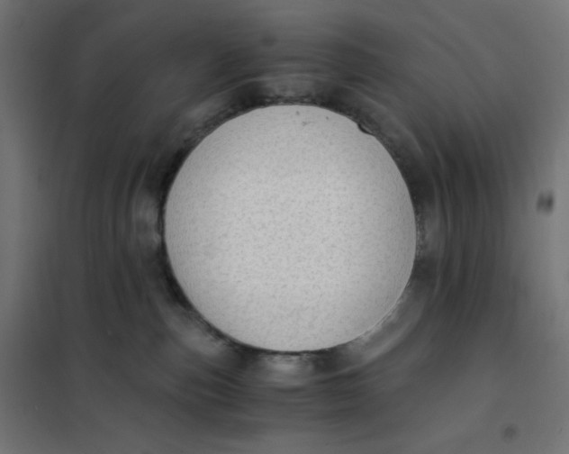 X0000101390187200807280946