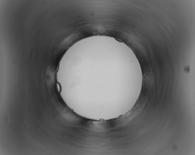 X0000101390188200807280946