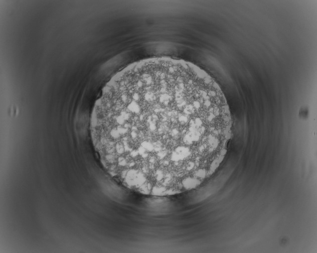 X0000101390189200807280946