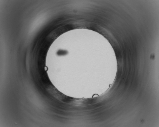X0000101390190200807280947