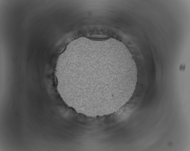 X0000101390192200807280947