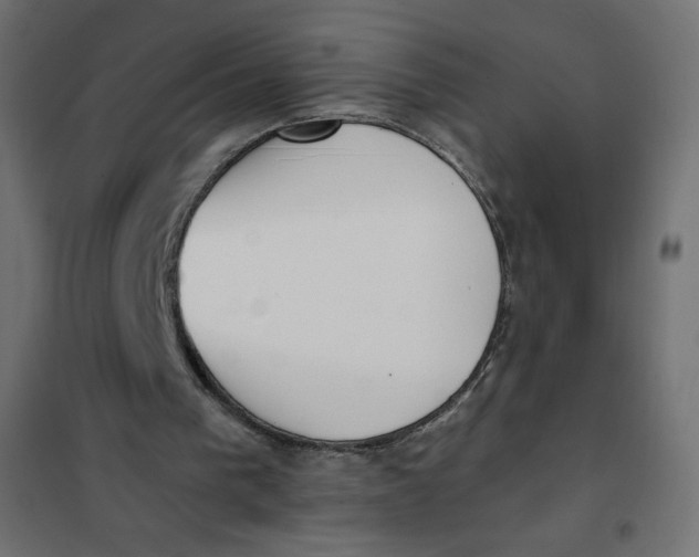 X0000101390193200807280946