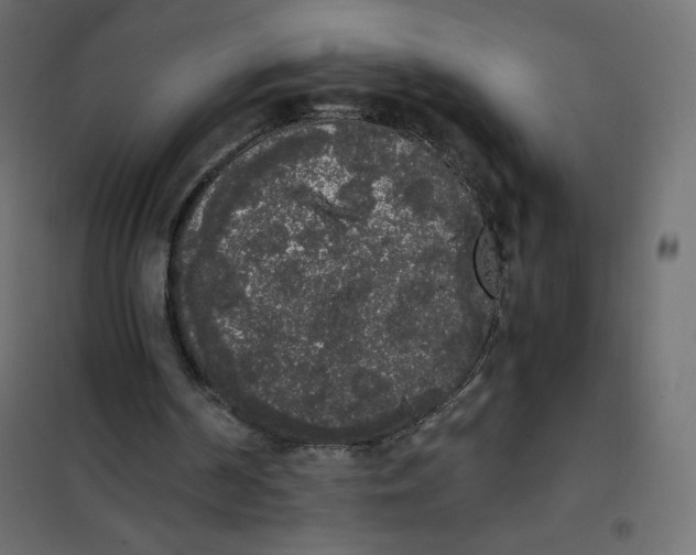 X0000101390194200807280946