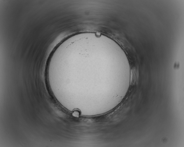 X0000101390195200807280946