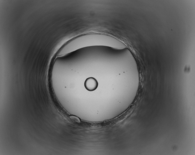 X0000101390196200807280946