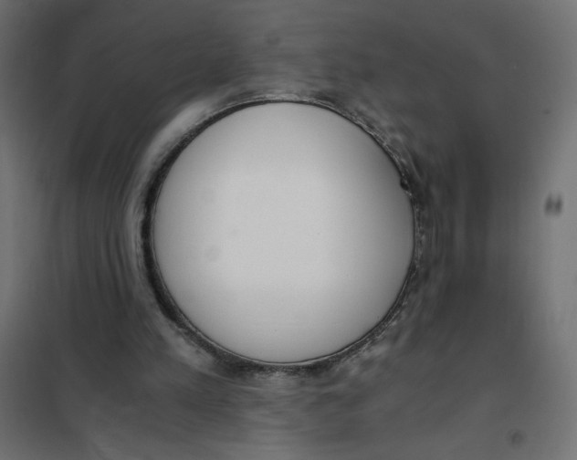 X0000101390197200807280946