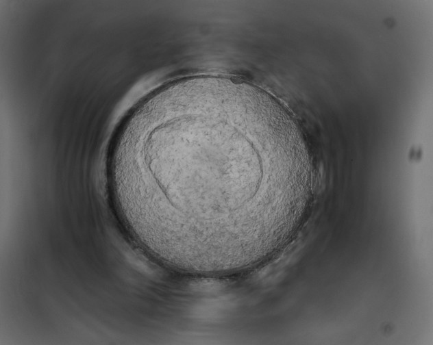 X0000101390198200807280946
