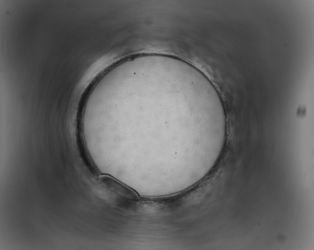 X0000101390199200807280946