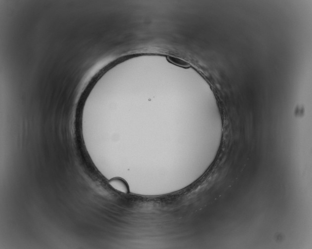 X0000101390200200807280946