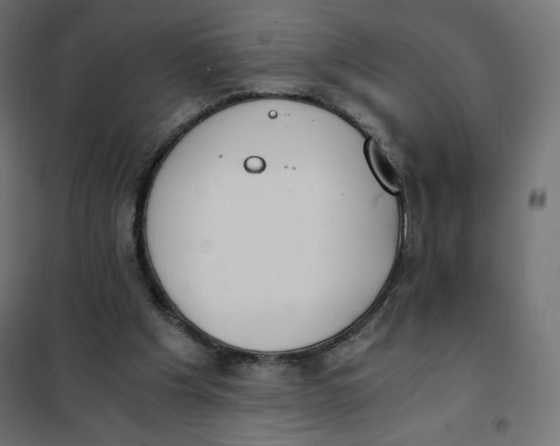 X0000101390201200807280946