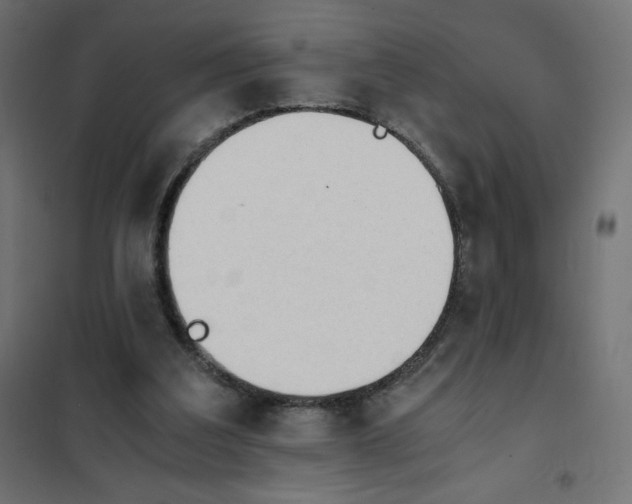 X0000101390203200807280946