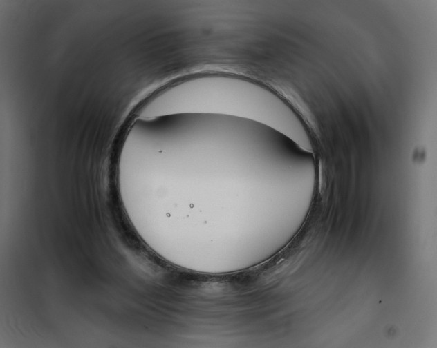 X0000101390204200807280946
