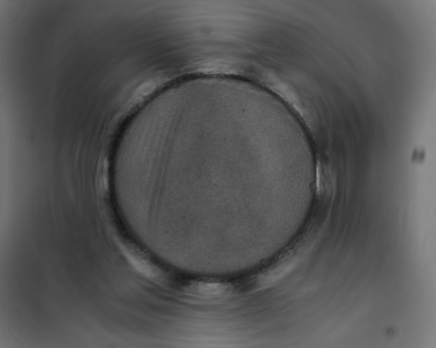 X0000101390205200807280946