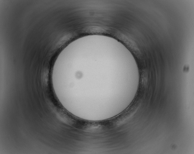 X0000101390206200807280946