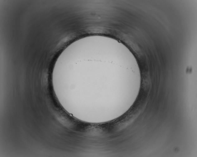 X0000101390207200807280946