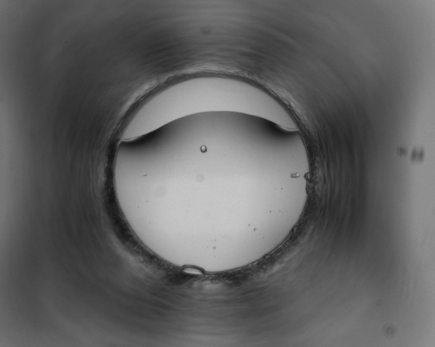 X0000101390208200807280946