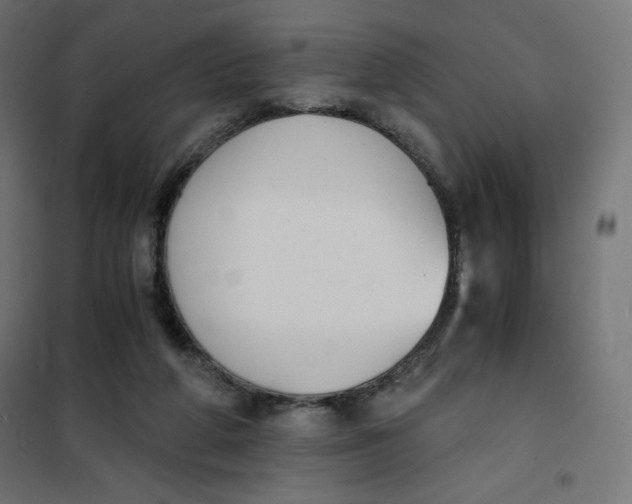 X0000101390210200807280945