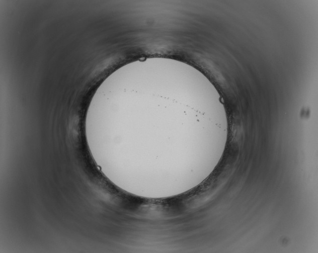 X0000101390211200807280945