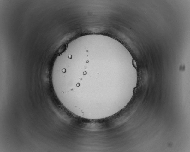 X0000101390212200807280945