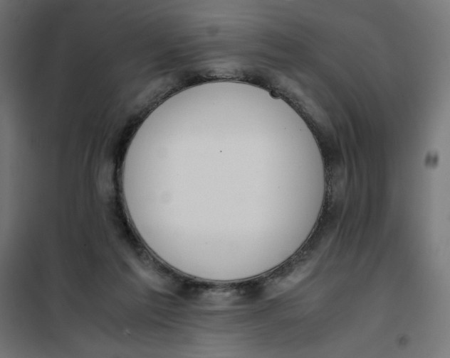 X0000101390213200807280945