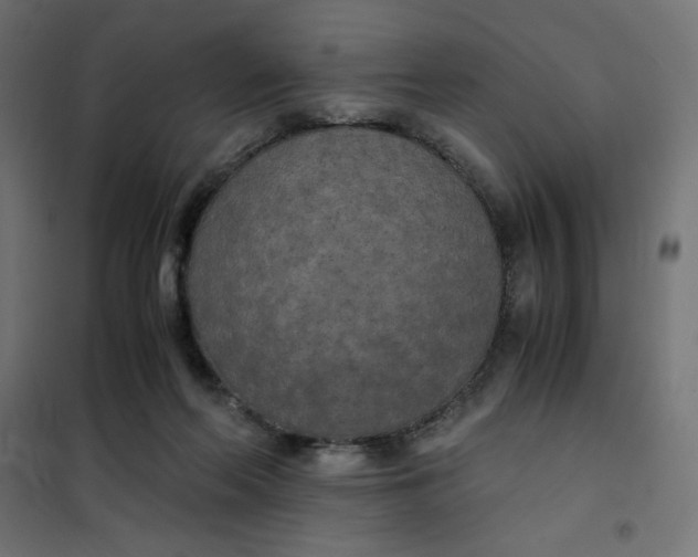 X0000101390214200807280945
