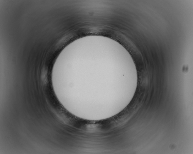 X0000101390216200807280945