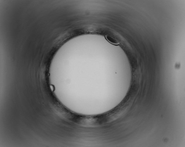 X0000101390217200807280945