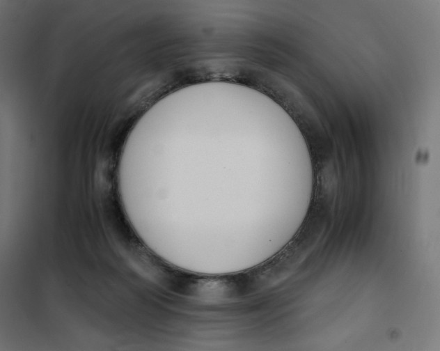 X0000101390218200807280945