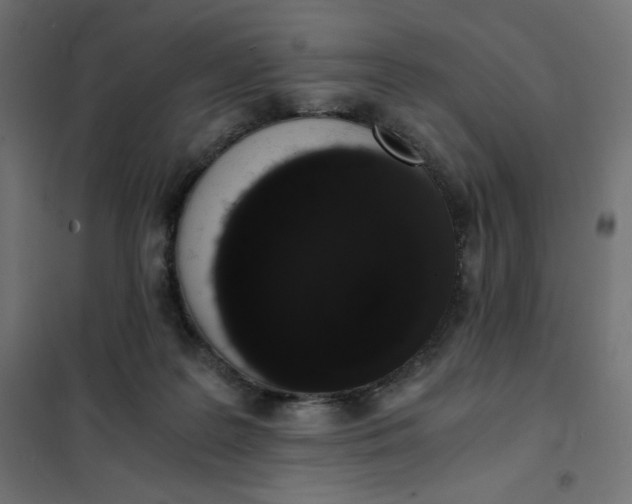 X0000101390219200807280945