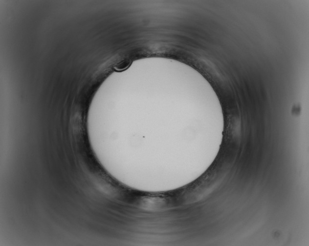 X0000101390220200807280945