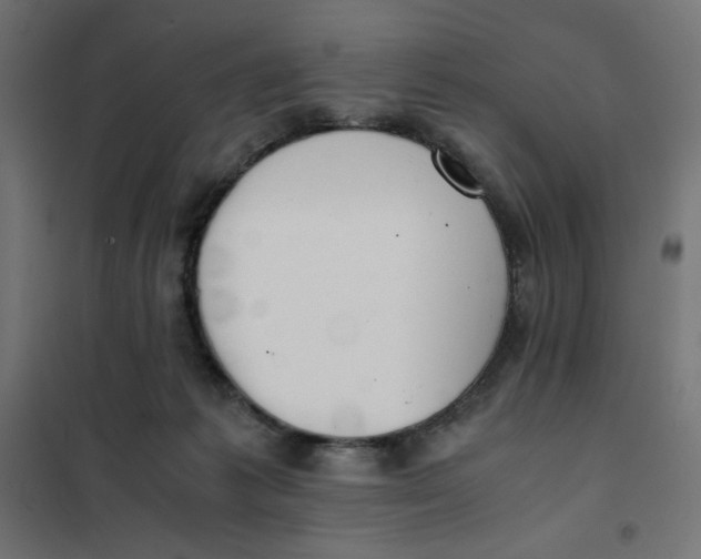X0000101390221200807280945