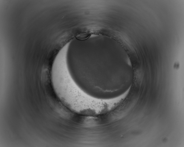 X0000101390222200807280945