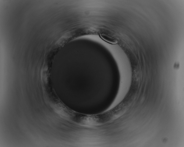 X0000101390223200807280945