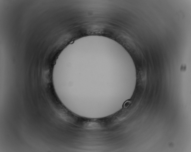 X0000101390224200807280945