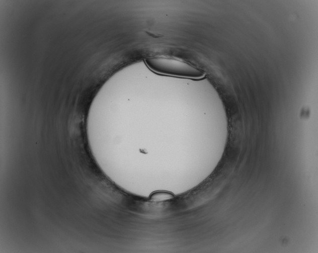X0000101390225200807280945