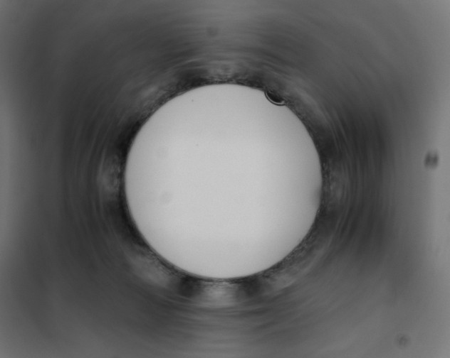 X0000101390226200807280945