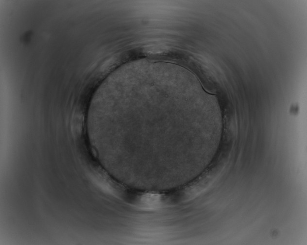 X0000101390227200807280945