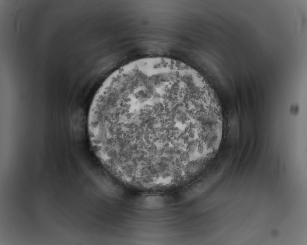 X0000101390228200807280945